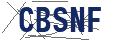 captcha-code